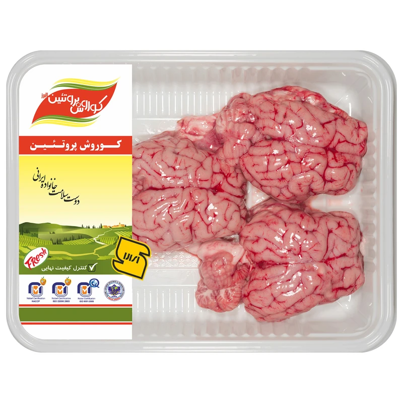 مغز گوسفندی کوروش پروتئین البرز بسته 3 عددی
