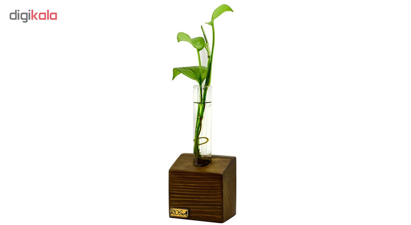 گلدان رزا مدل linear 1