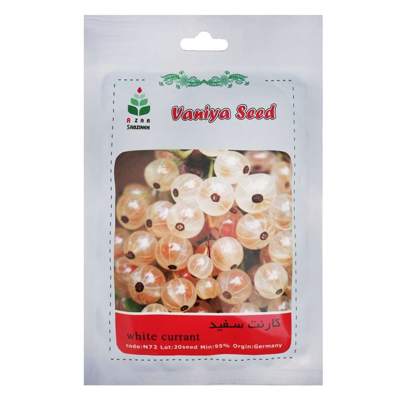 بذر کارنت سفید آذر سبزینه مدل N72