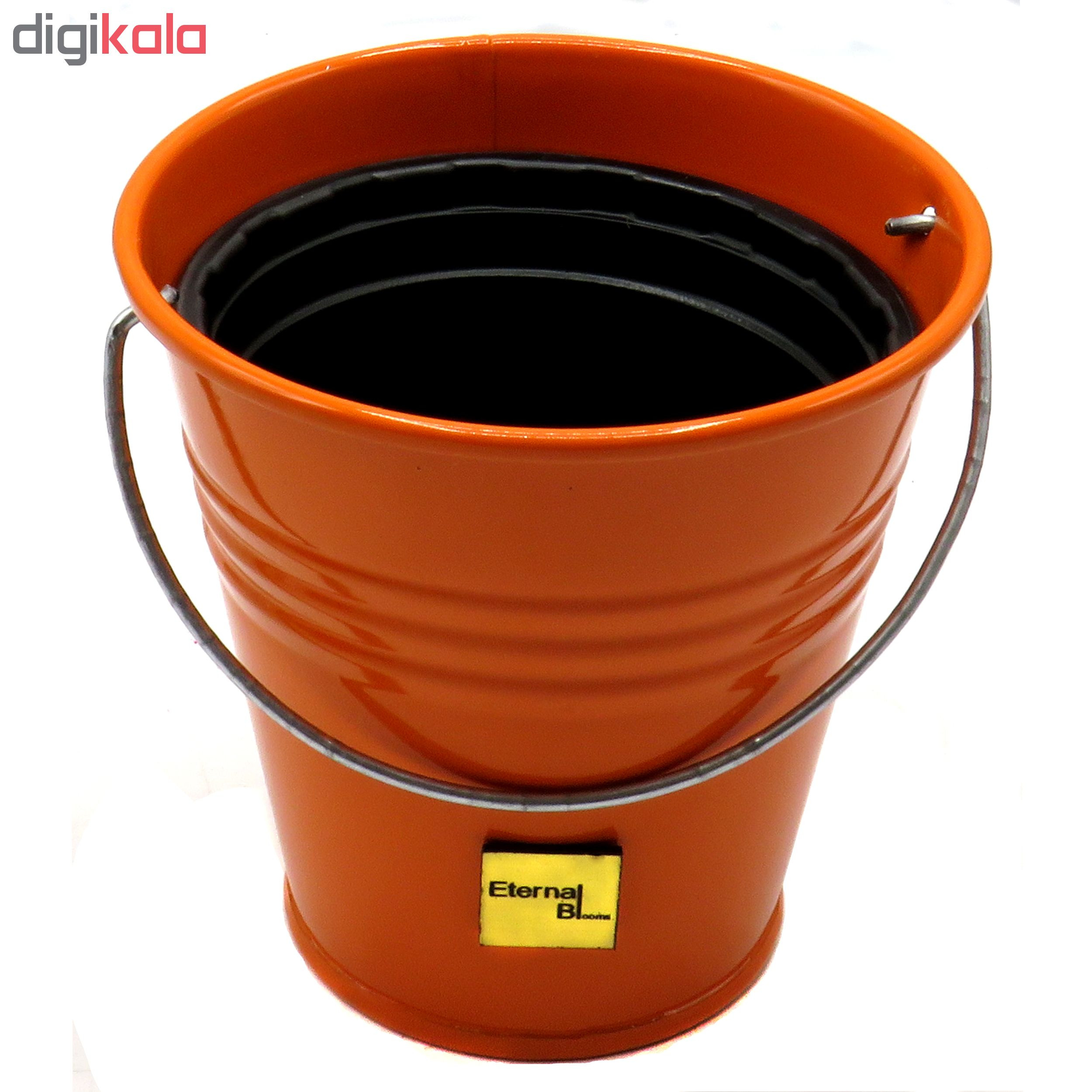 گلدان اترنال بلومز مدل OKIA گلدان اترنال بلومز مدل OKIA