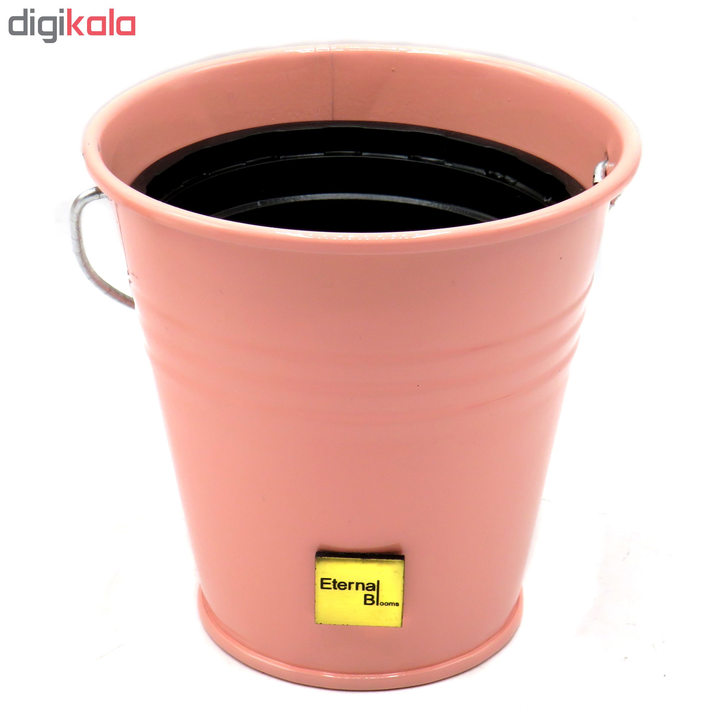 گلدان اترنال بلومز مدل OKIA گلدان اترنال بلومز مدل OKIA