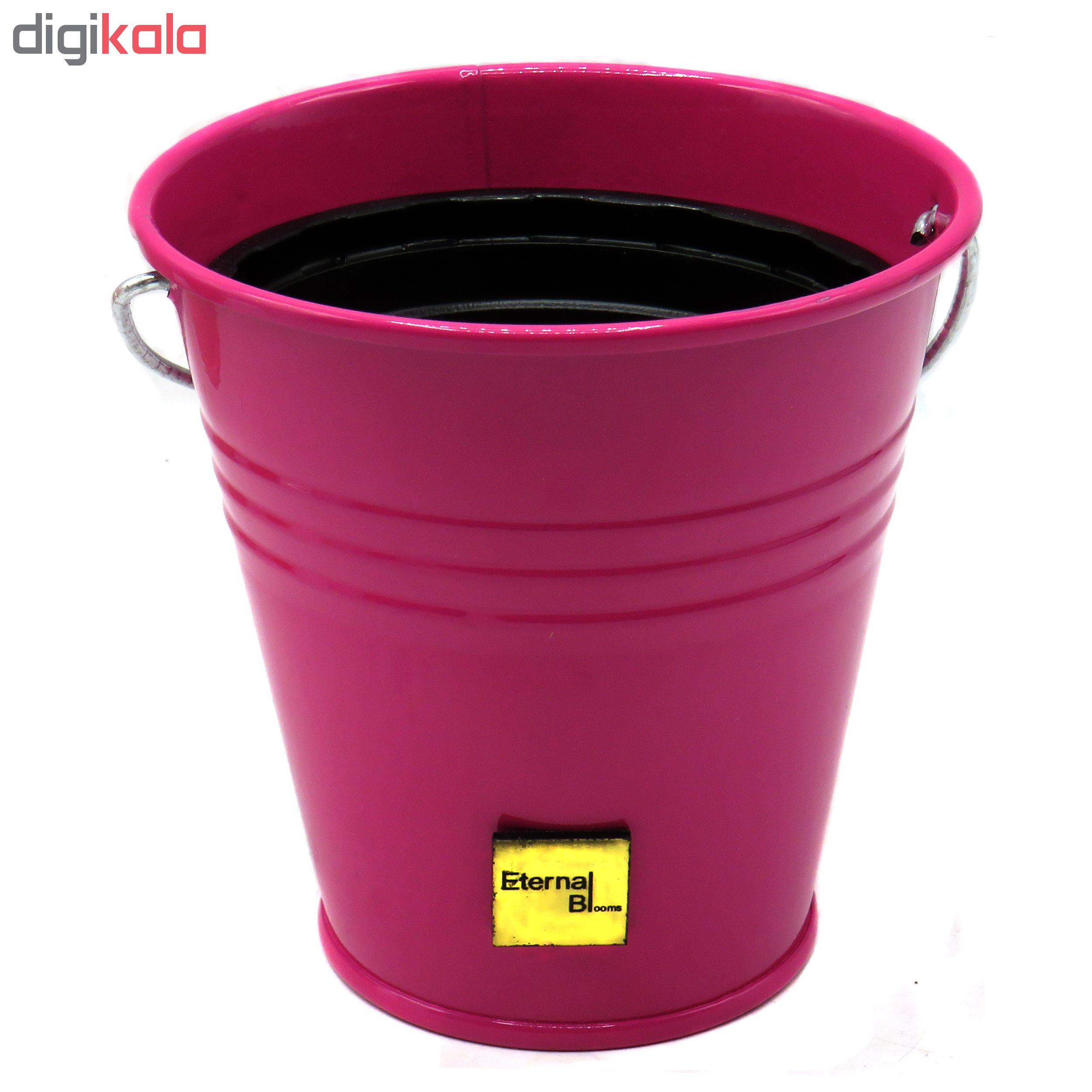 گلدان اترنال بلومز مدل OKIA گلدان اترنال بلومز مدل OKIA