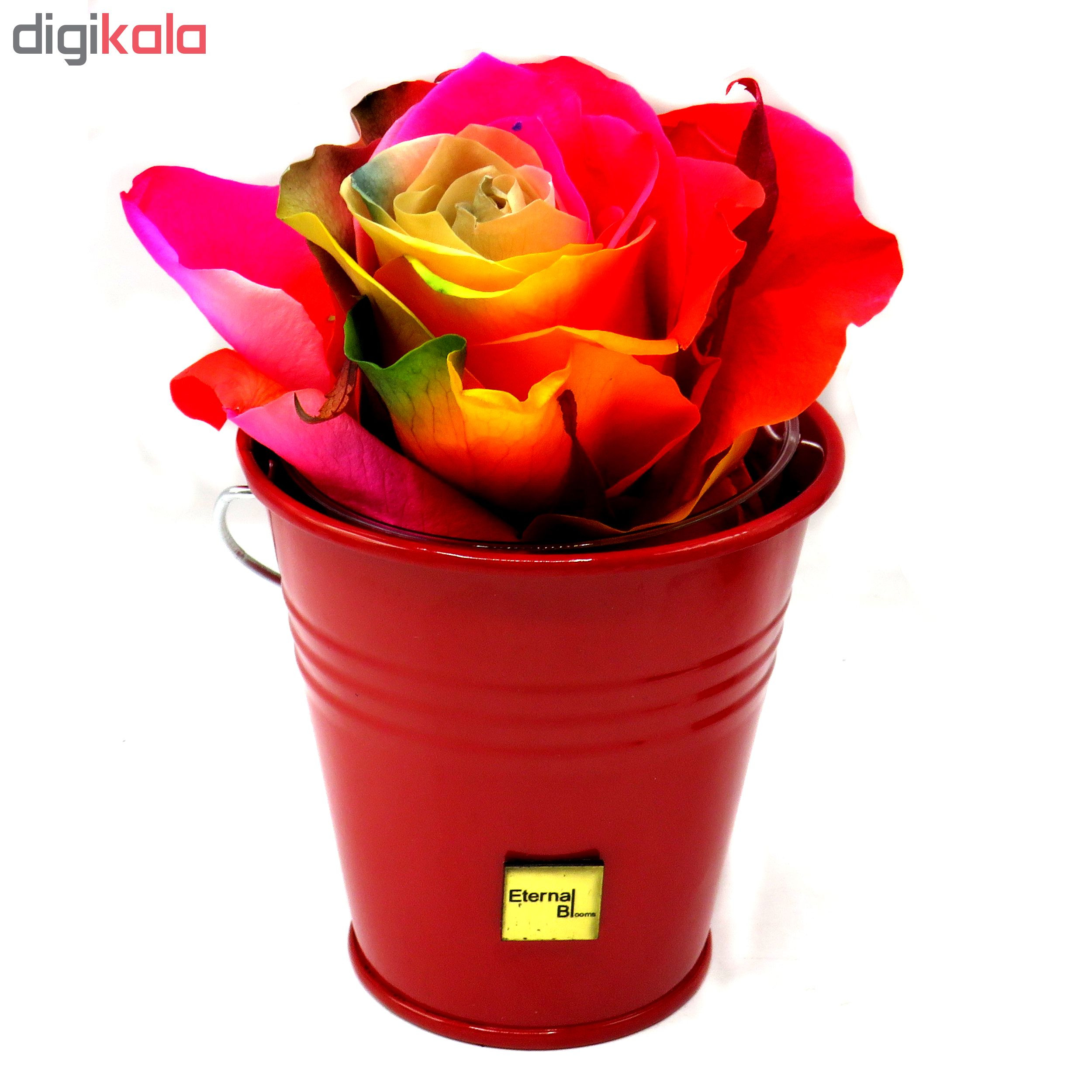گلدان اترنال بلومز مدل OKIA گلدان اترنال بلومز مدل OKIA
