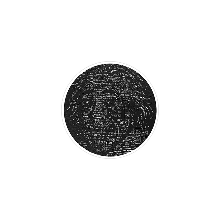 استیکر لپ تاپ ماسا دیزاین طرح آلبرت انیشتین مدل STK148