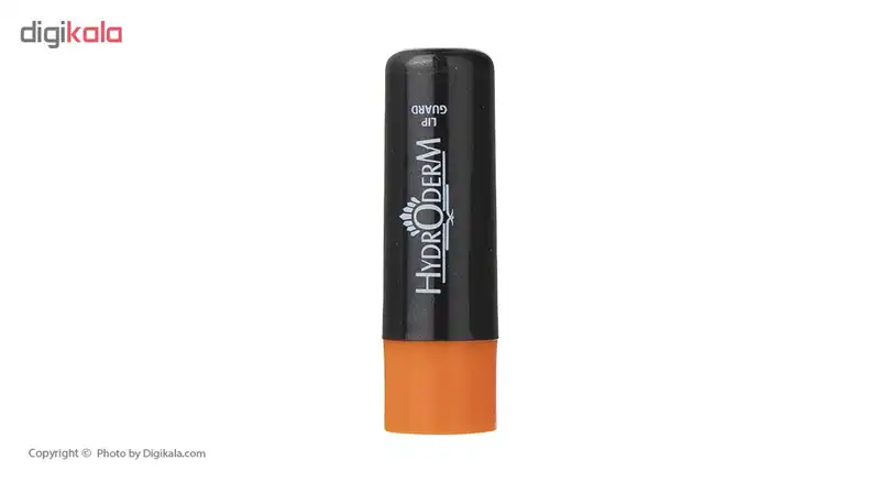 بالم لب مردانه هیدرودرم مدل Protectsوزن 4.5 گرم