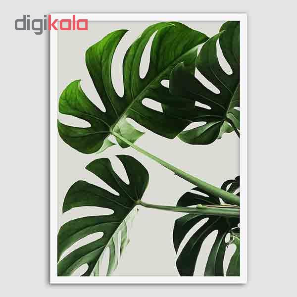 تابلو سالی وود طرح گیاه مانسترا کد T130103