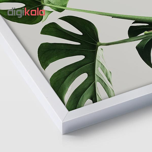 تابلو سالی وود طرح گیاه مانسترا کد T130103