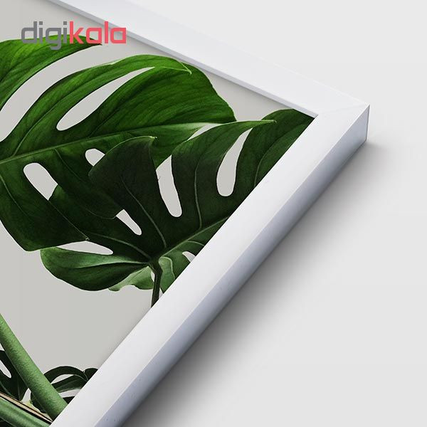 تابلو سالی وود طرح گیاه مانسترا کد T130103