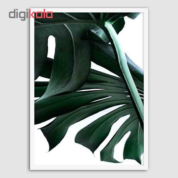 تابلو سالی وود طرح برگ انجیری کد T130107w تابلو سالی وود طرح برگ انجیری کد T130107w