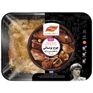 ران کبابی کوروش پروتئین البرز با طعم سیر و کره یونانی مقدار 800 گرم