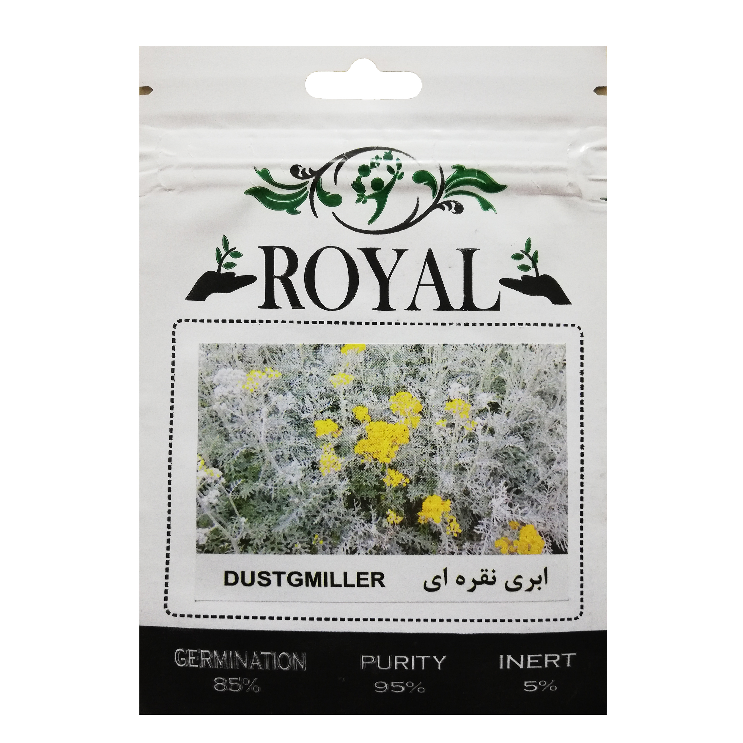 بذر گل ابری نقره ای رویال مدل BZR-69