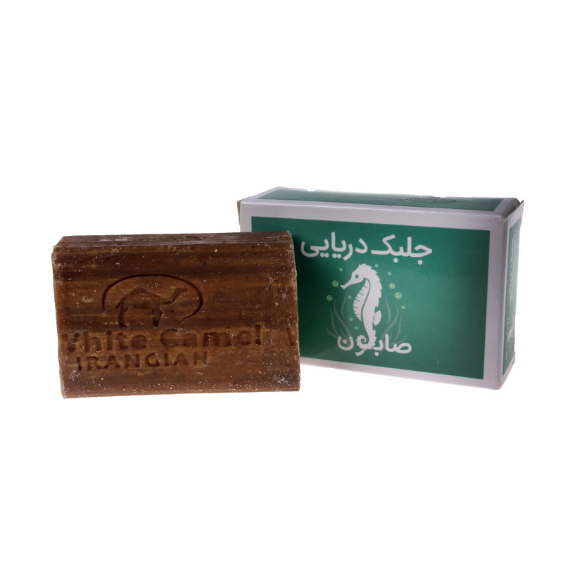 صابون شستشو ایران گیاه مدل جلبک وزن 100 گرم صابون شستشو ایران گیاه مدل جلبک وزن 100 گرم