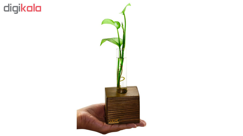 گلدان رزا مدل linear 1