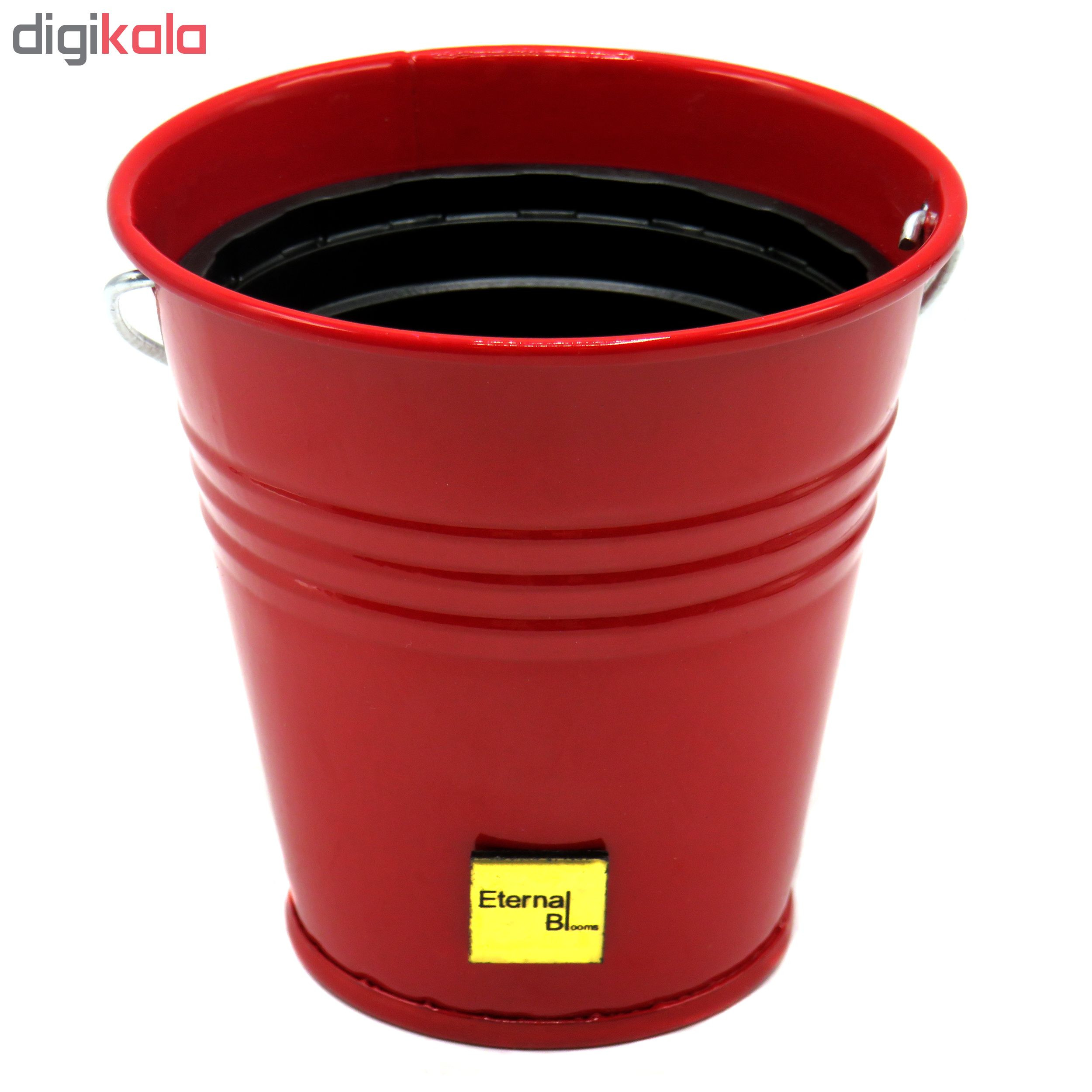 گلدان اترنال بلومز مدل OKIA گلدان اترنال بلومز مدل OKIA