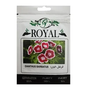 بذر گل قرنفل الوان رویال مدل BZR-86