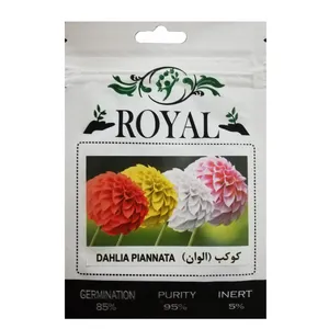 بذر گل کوکب الوان رویال مدل BZR-87