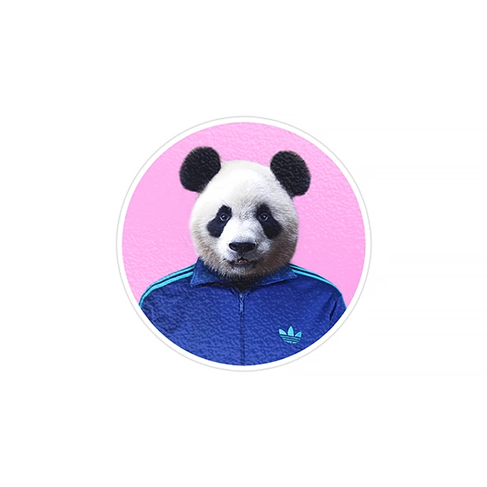 استیکر لپ تاپ ماسا دیزاین طرح پاندا مدل STK249