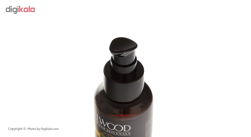روغن آرگان الوود مدل Anti Aging حجم 100 میلی لیتر روغن آرگان الوود مدل Anti Aging حجم 100 میلی لیتر