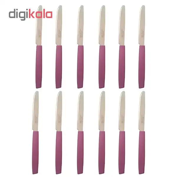 کارد میوه خوری کد 6673 بسته 12 عددی