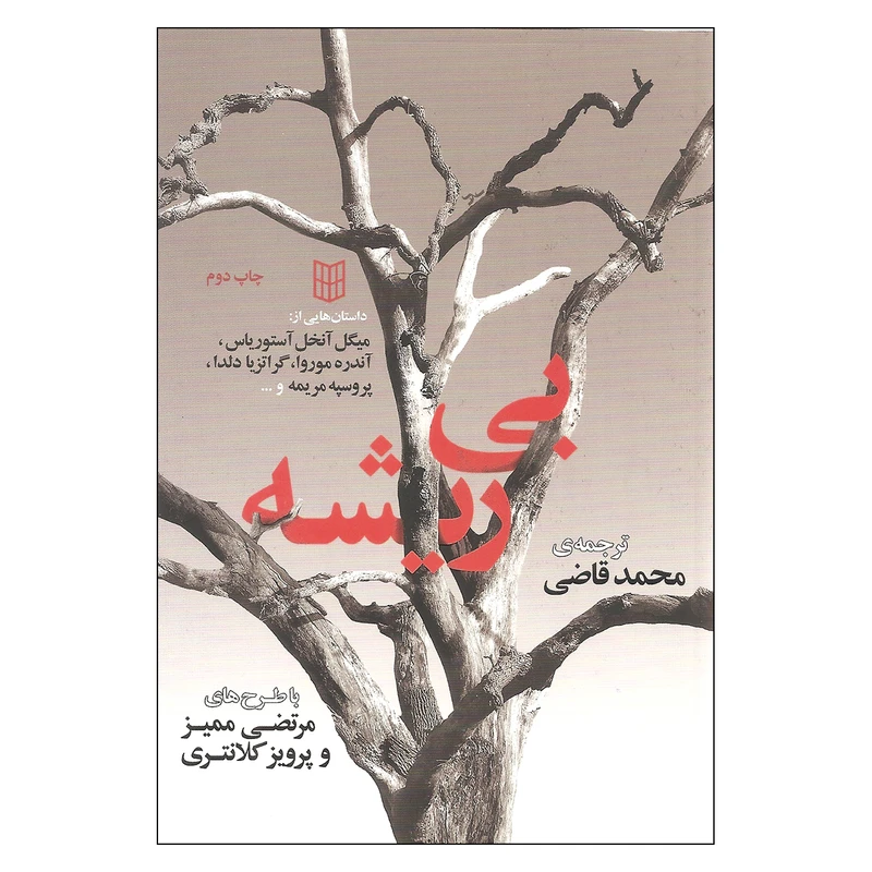 کتاب بی ریشه اثر جمعی از نویسندگان انتشارات پنجره