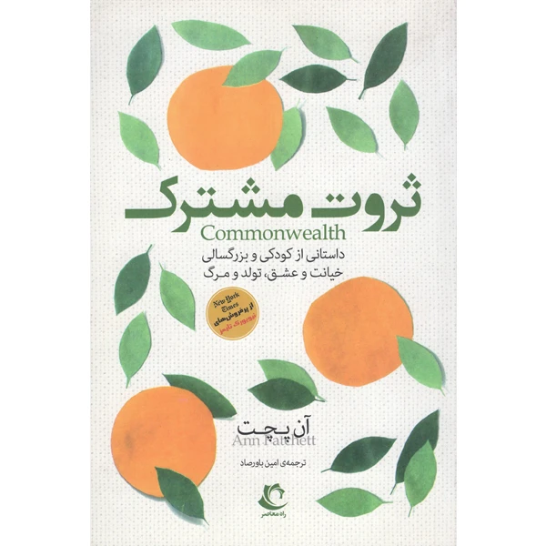 کتاب ثروت مشترک اثر آن پچت انتشارات راه معاصر