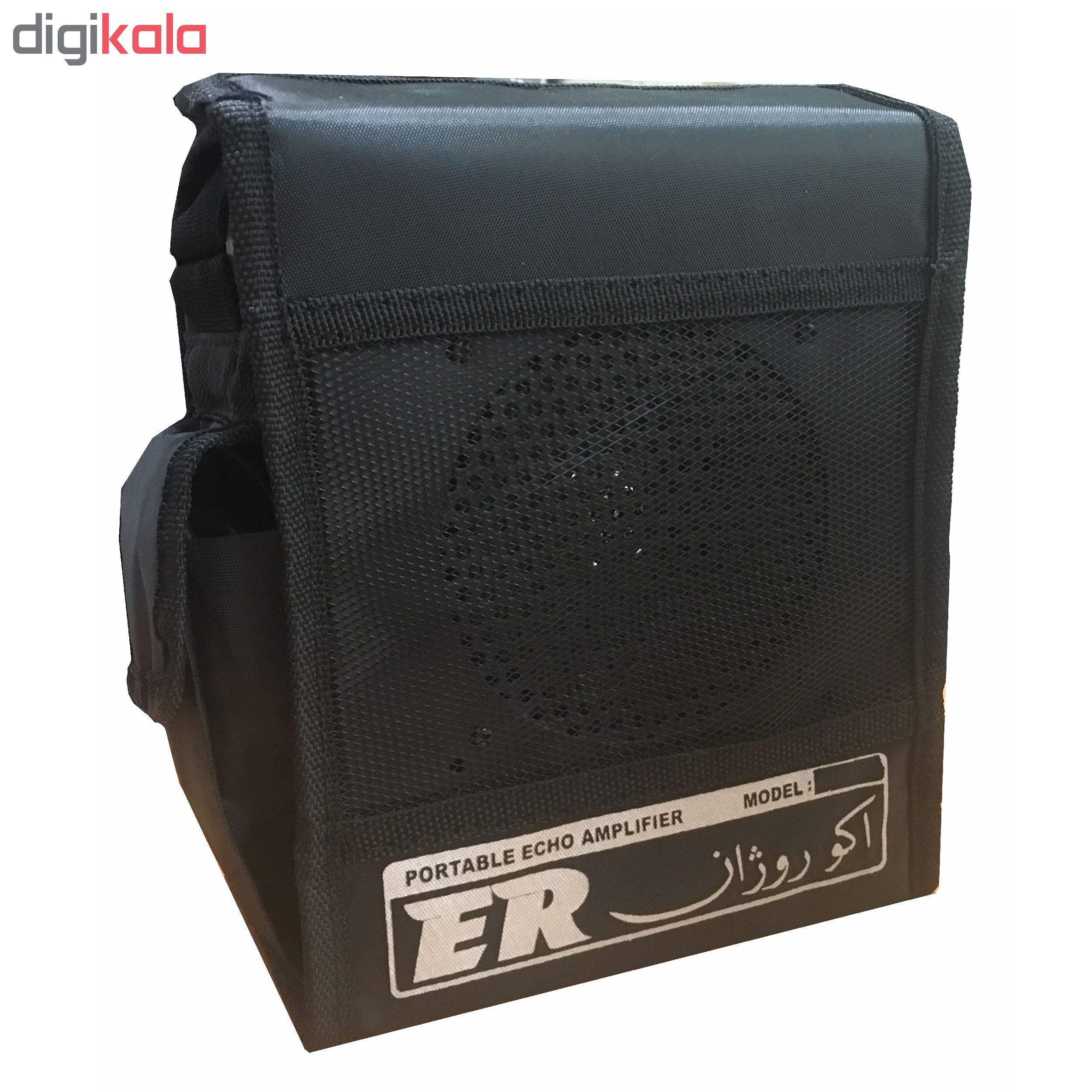 اکو آمپلی فایر همراه اکو روژان مدل RJ30U