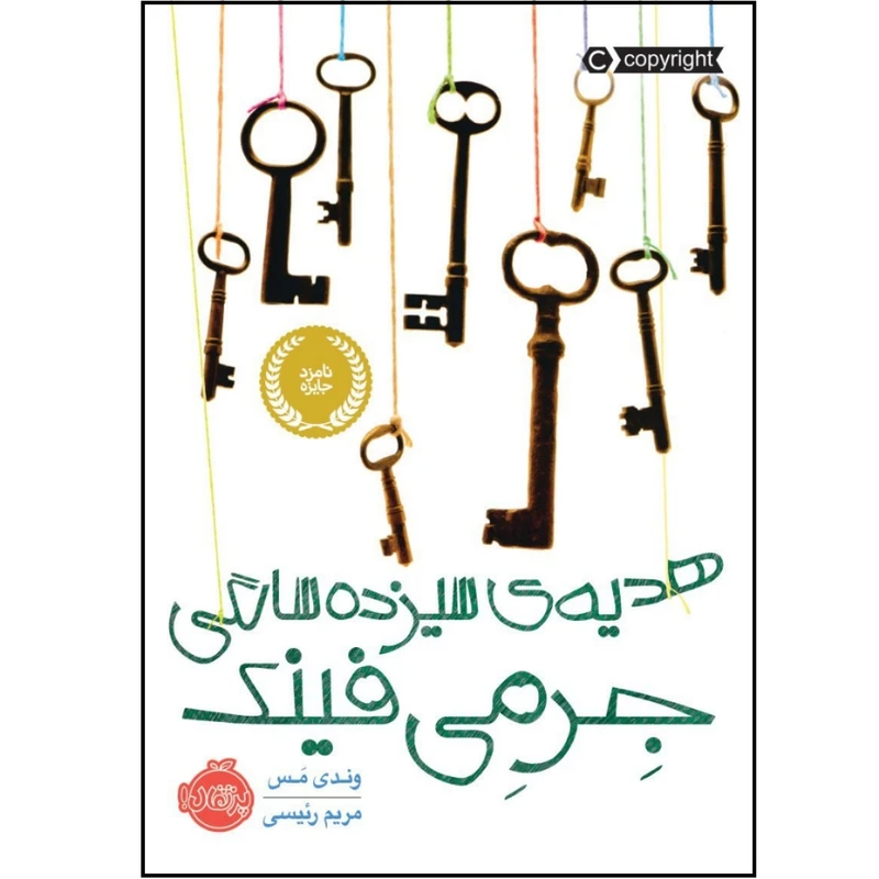 کتاب هدیه ی سیزده سالگی جرمی فینک اثر وندی مس انتشارات پرتقال