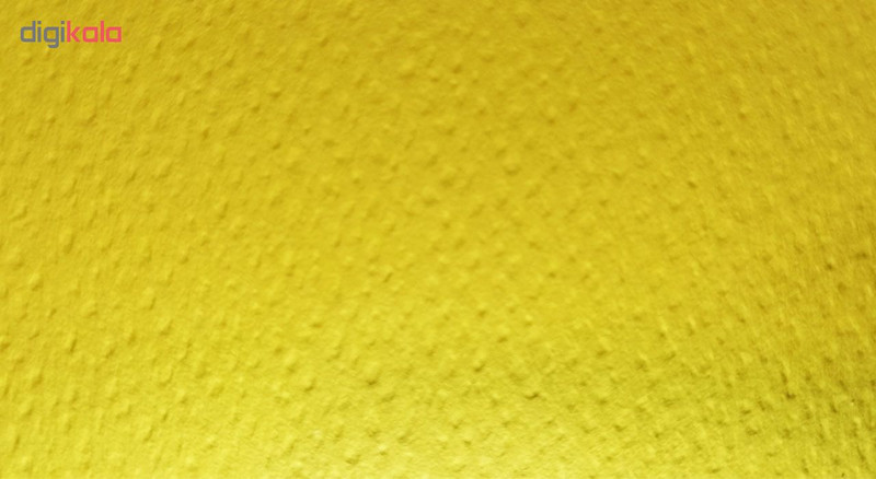 مقوا رنگی فاوینی مدل colorissimi220 سایز 33x24 سانتی متر بسته 16 عددی