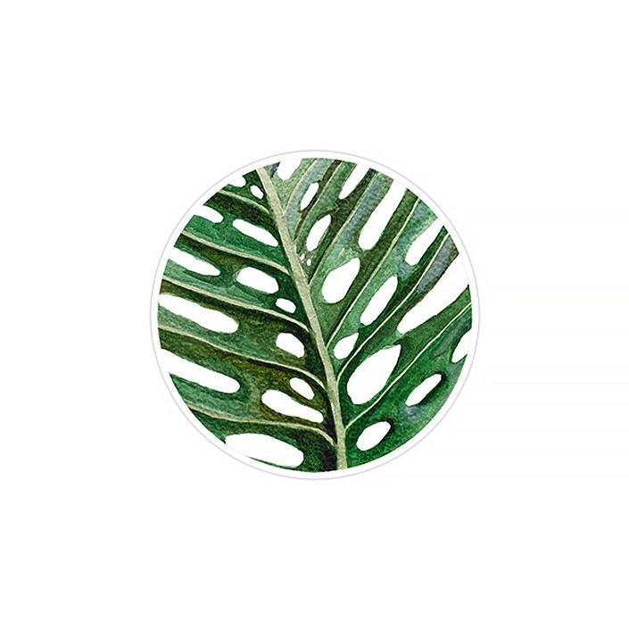 استیکر لپ تاپ ماسا دیزاین طرح برگ انجیر مدل STK359