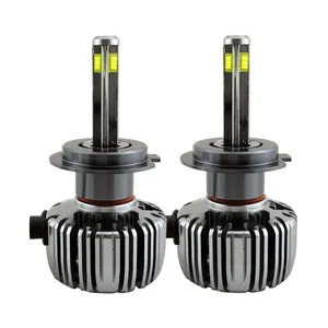 لامپ هدلایت فیلپس مدل H1CSP بسته دو عددی