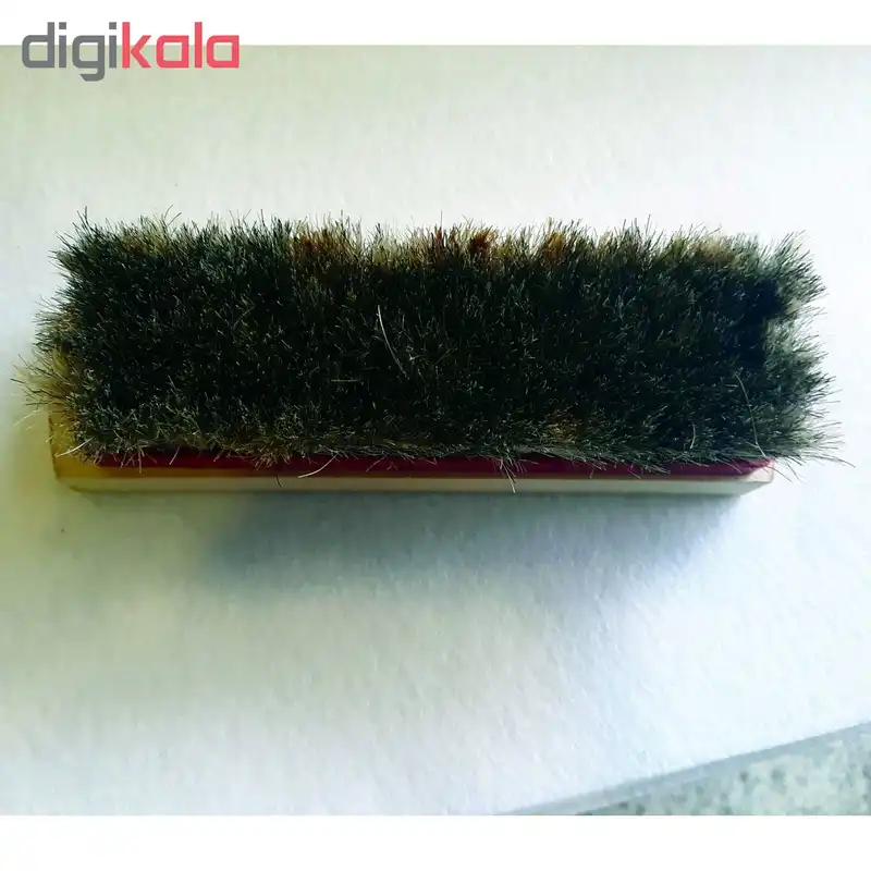 برس کفش مدل Br01