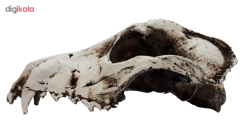 جمجمه تزیینی آکواریوم کد TW