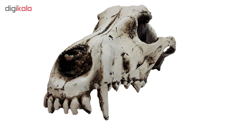 جمجمه تزیینی آکواریوم کد TW