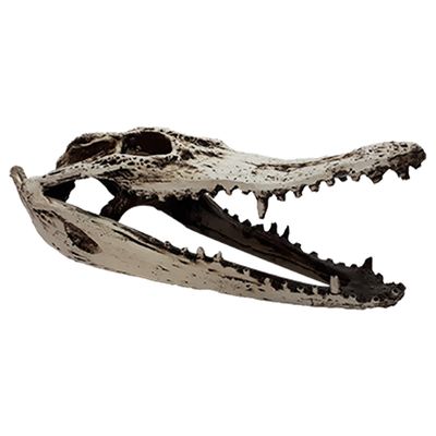 نقد و بررسی جمجمه تزیینی آکواریوم کد MS توسط خریداران