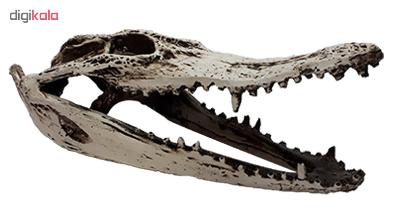 جمجمه تزیینی آکواریوم کد MS