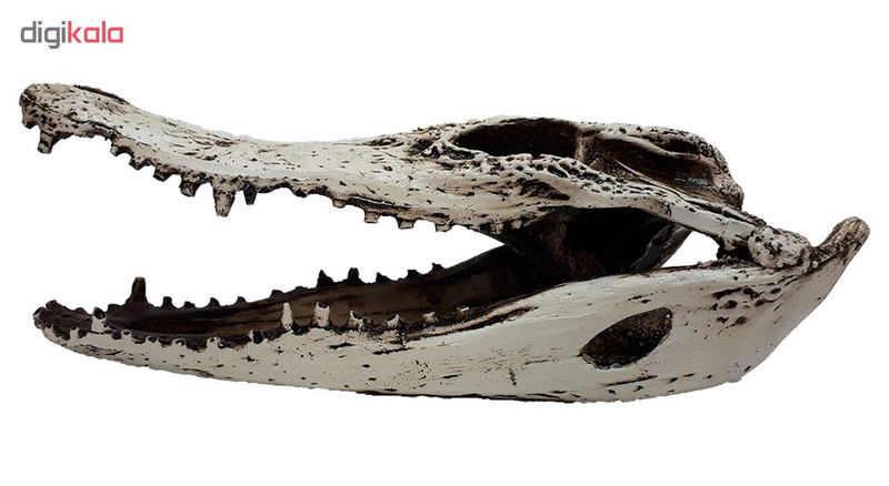 جمجمه تزیینی آکواریوم کد MS