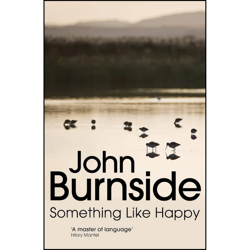 کتاب Something Like Happy اثر John Burnside انتشارات Vintage