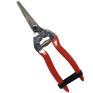 قیچی میوه چینی پیکو مدل YP019