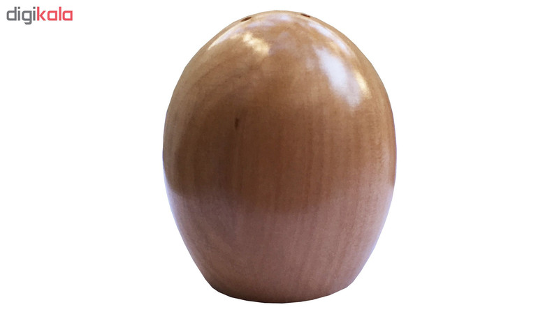 ست نمکدان و فلفل پاش مدل AK مجموعه 2 عددی ست نمکدان و فلفل پاش مدل AK مجموعه 2 عددی