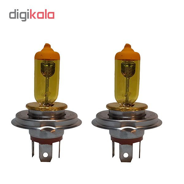 لامپ هالوژن خودرو مدل danH7 بسته دو عددی