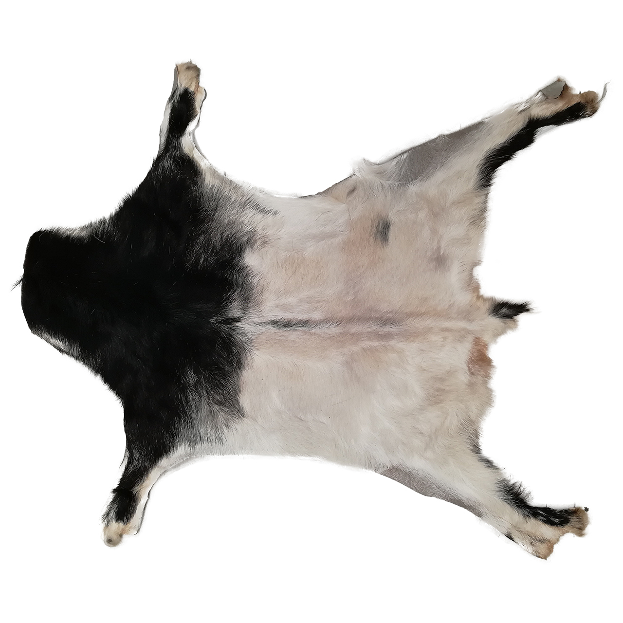 فرش پوست و چرم کمالی مدل AC-00471