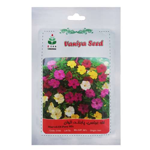 بذر گل لاله عباسی پابلند الوان آذر سبزینه مدل O184 