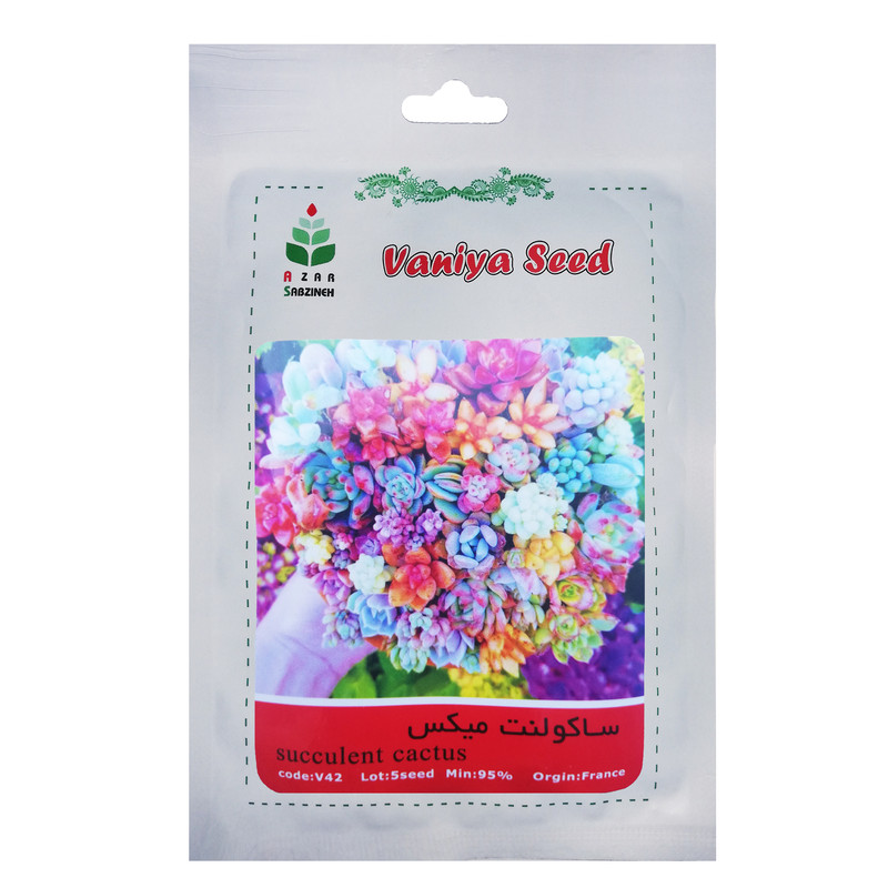 بذر ساکولنت میکس آذر سبزینه مدل V42
