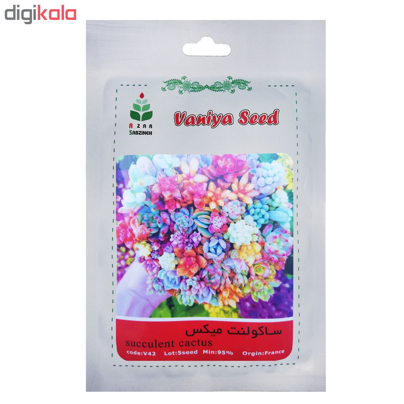 بذر ساکولنت میکس آذر سبزینه مدل V42