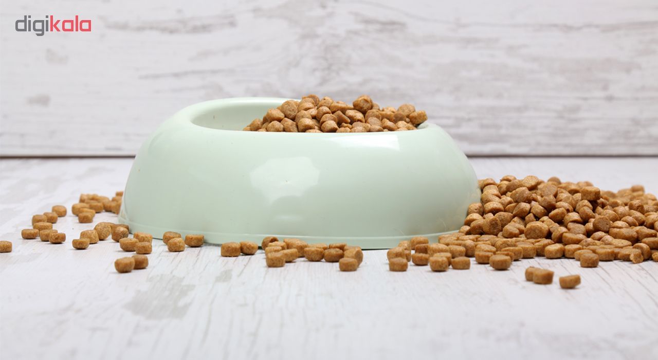غذای خشک سگ لکسی مدل SMALL BREED وزن 1.5 کیلوگرم
