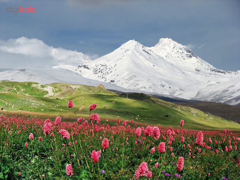 پوستر دیواری سه بعدی طرح دشت کد 01112