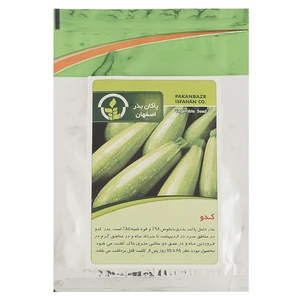 بذر کدو پاکان بذر