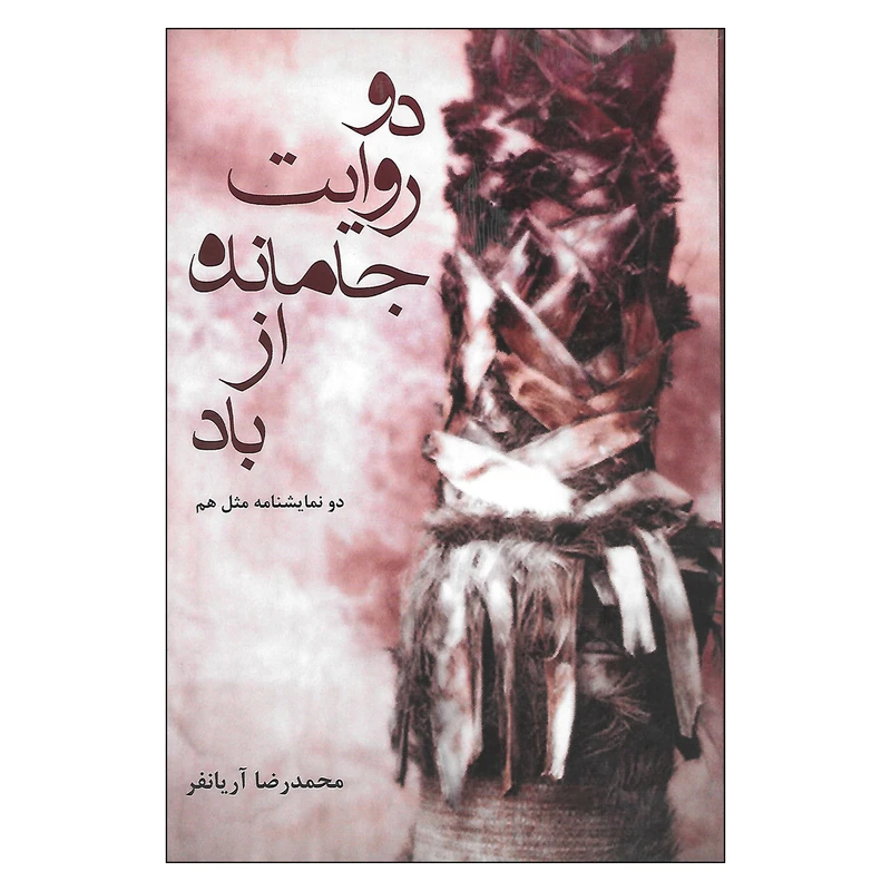 کتاب دو روایت جامانده از باد اثر محمدرضا آریانفر انتشارات افراز