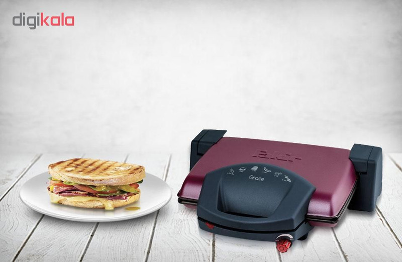 ساندویچ ساز فکر مدل GRACE