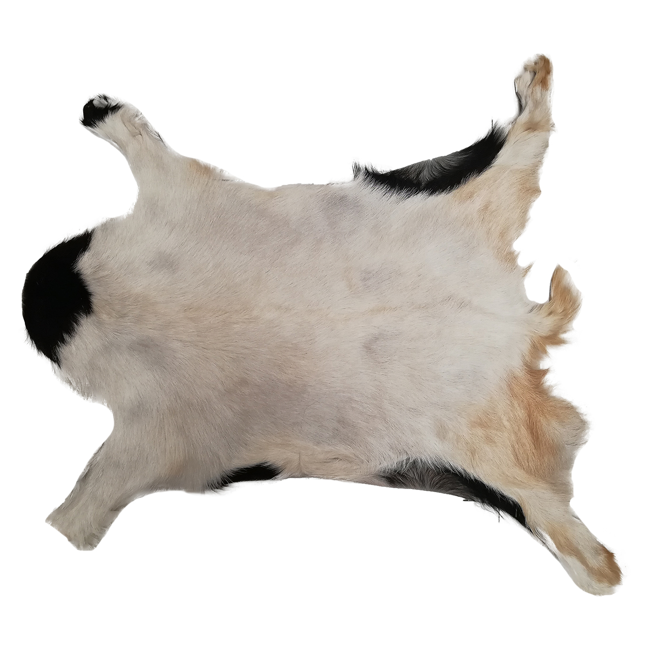 فرش پوست و چرم کمالی مدل AC-00478